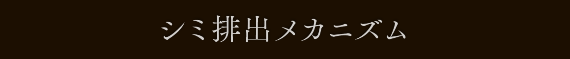 シミ排出メカニズム